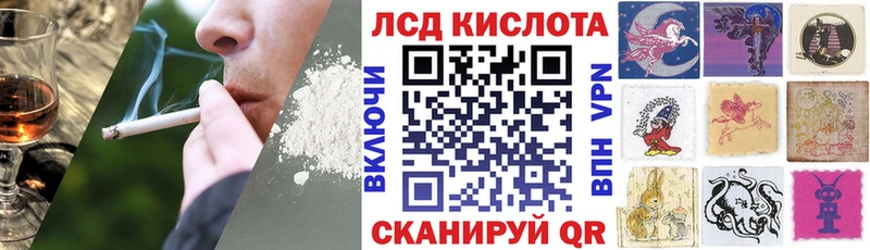 цена   Питкяранта  Марки N-bome 1500мкг 