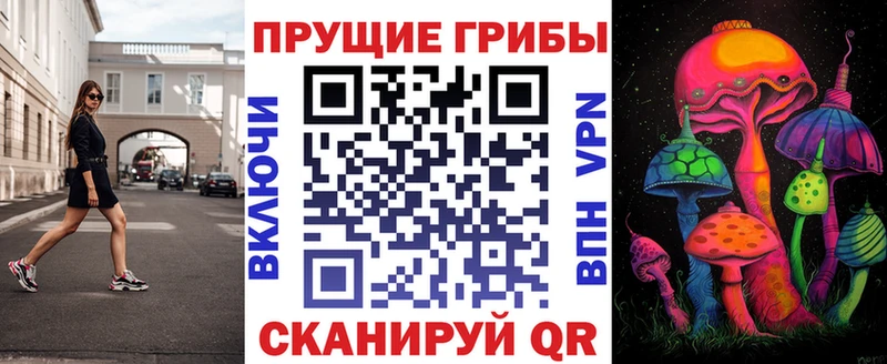 Псилоцибиновые грибы Psilocybine cubensis Питкяранта